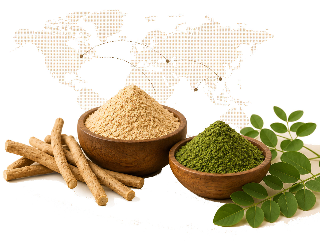 Ashwagandha and Moringa herbal powder in wooden bowls