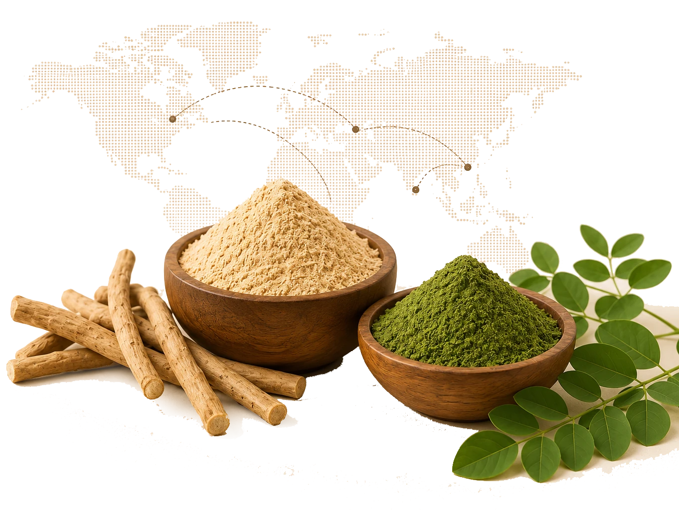 Ashwagandha and Moringa herbal powder in wooden bowls