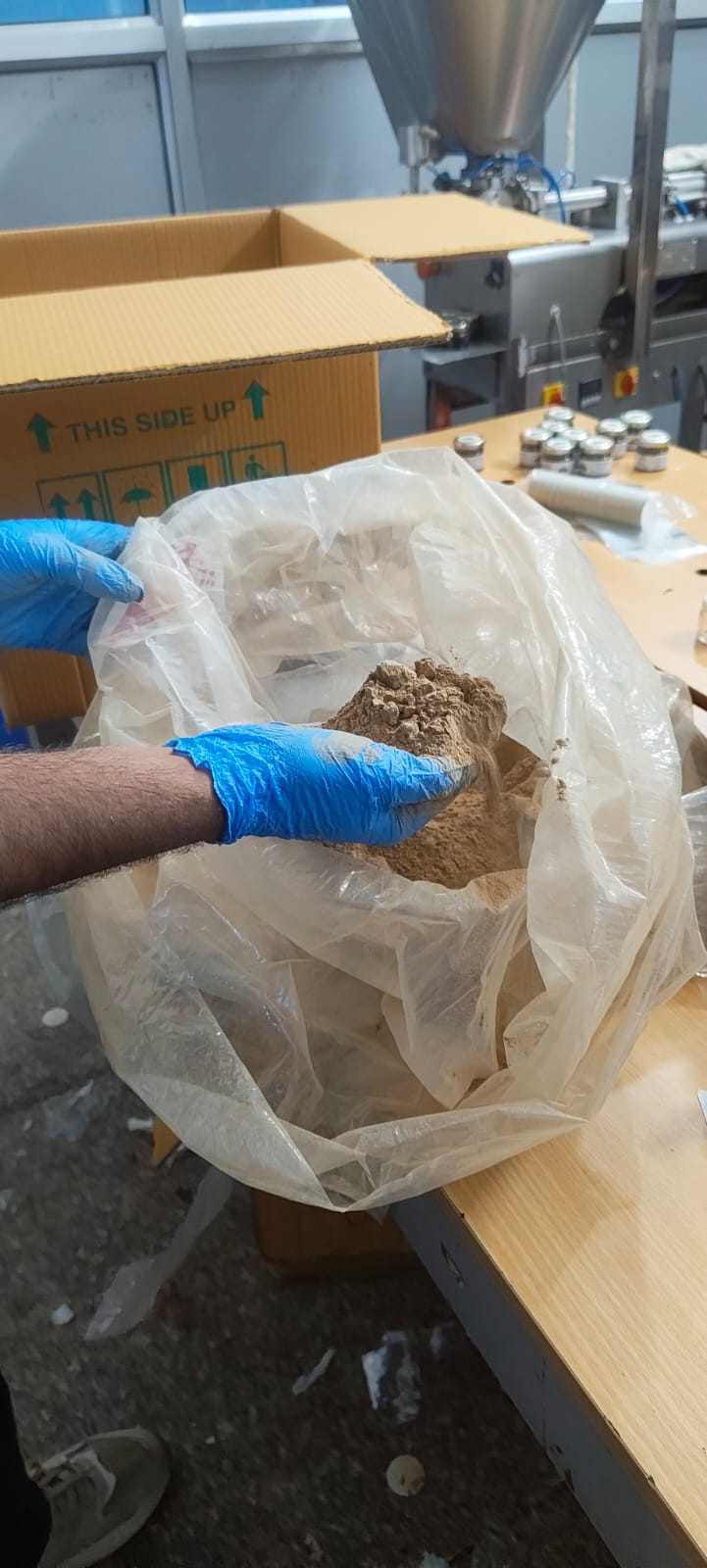 Ashwagandha harvested roots in hand